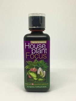 House plant Focus 300ml