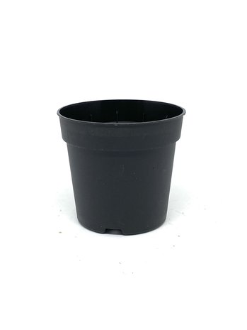 10 x zwarte potten 6,5cm